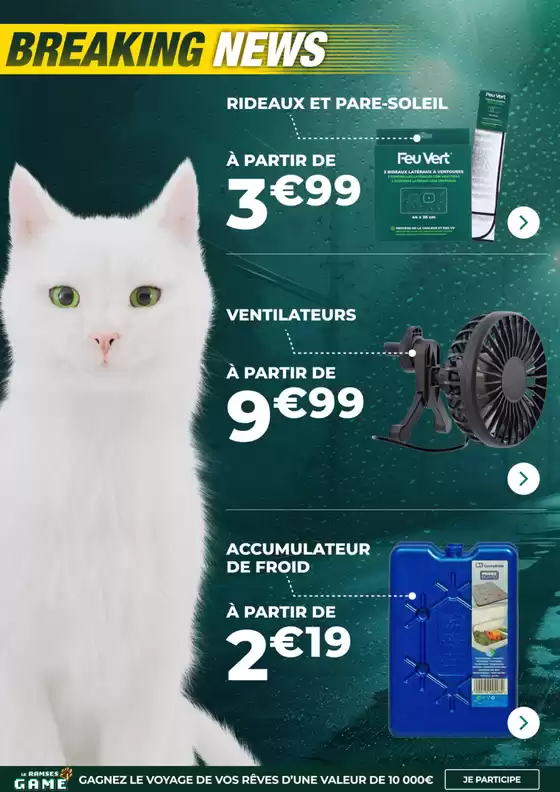 Qui ne viendrait pas chez Feu Vert? (Succursales)