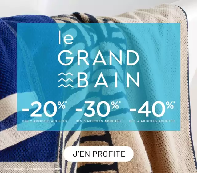 Le grand bain