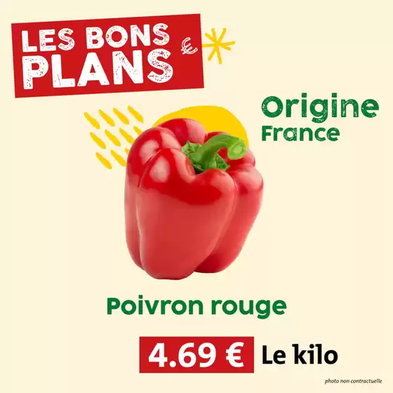 Les bons plans