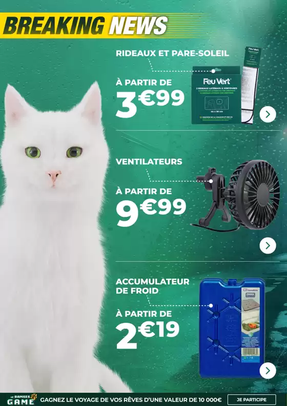 Qui ne viendrait pas chez Feu Vert? (Succursales)