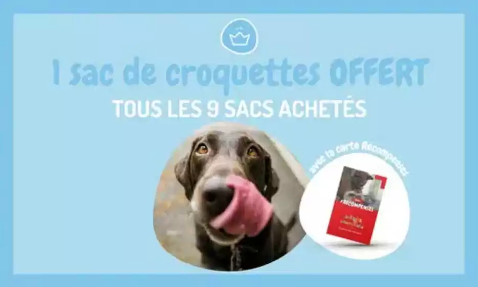 Catalogue Médor et Compagnie à Isle | 9 sacs de croquettes ou de litière achetés, le 10ème offert | 2025-08-12T00:00:00.000Z - 2025-08-31T00:00:00.000Z