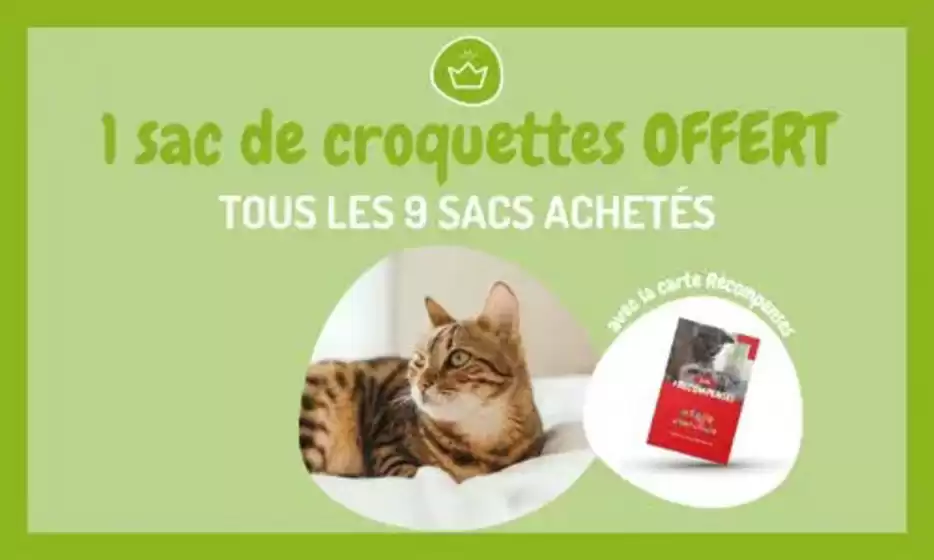 9 sacs de croquettes ou de litière achetés, le 10ème offert