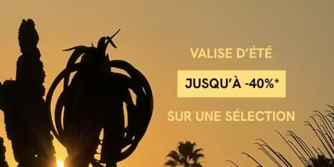 Valise d'été Jusqu'à -40%