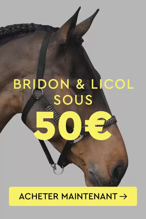 Final Summer Sale – Tout doit disparaître !
