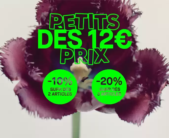 Découvrez notre sélection dès 12€ ! Bénéficiez de -10% supp. dès 2 articles et -20% supp. dès 3 !