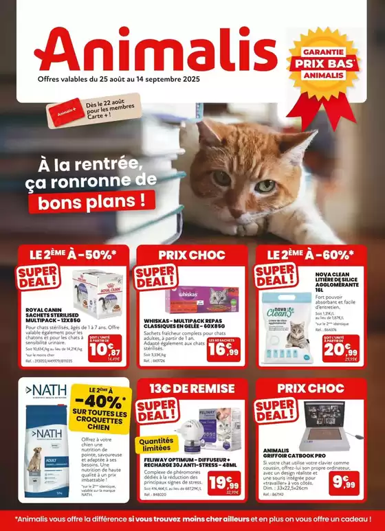 À la rentrée, ça ronronne de bons plans!