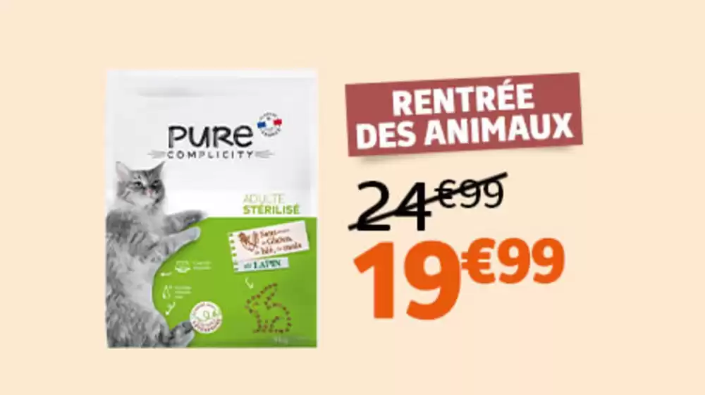 La rentrée des animaux