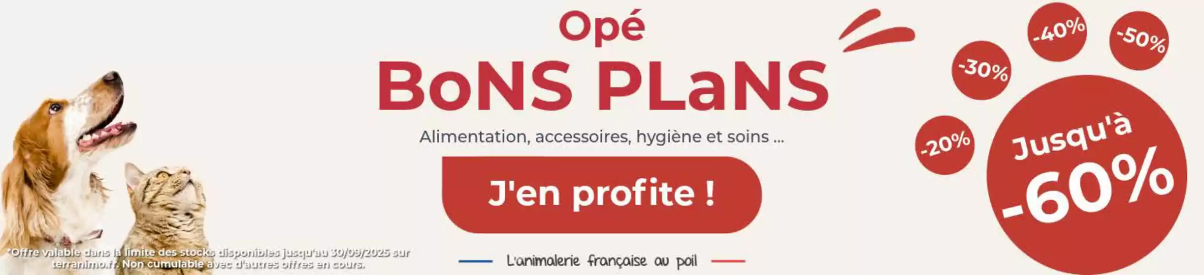 Promotions Animalerie chien et chat