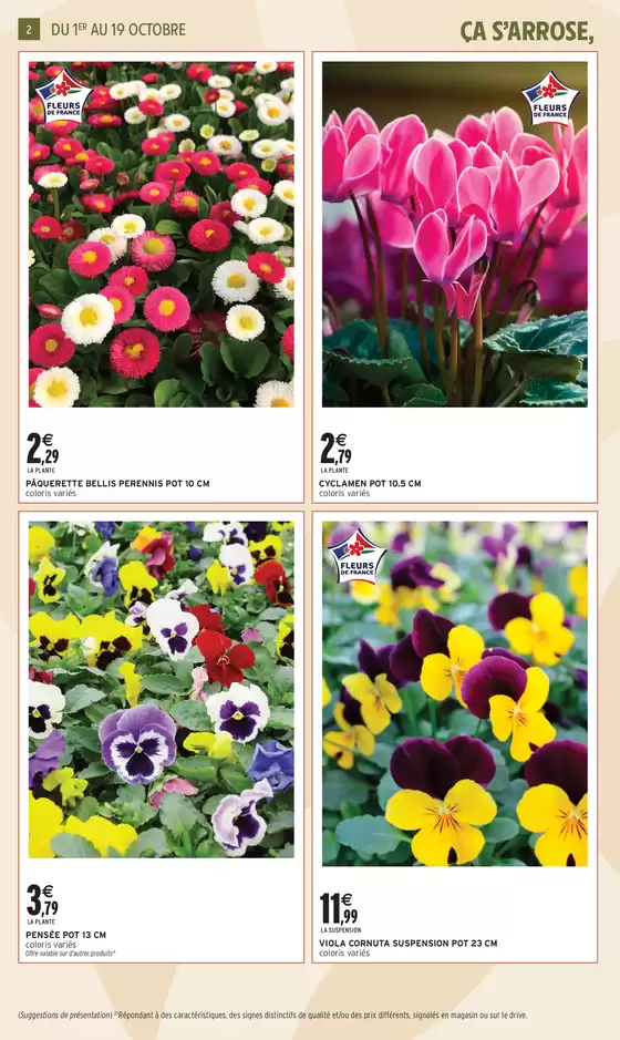 EVEN JARDIN OCTOBRE