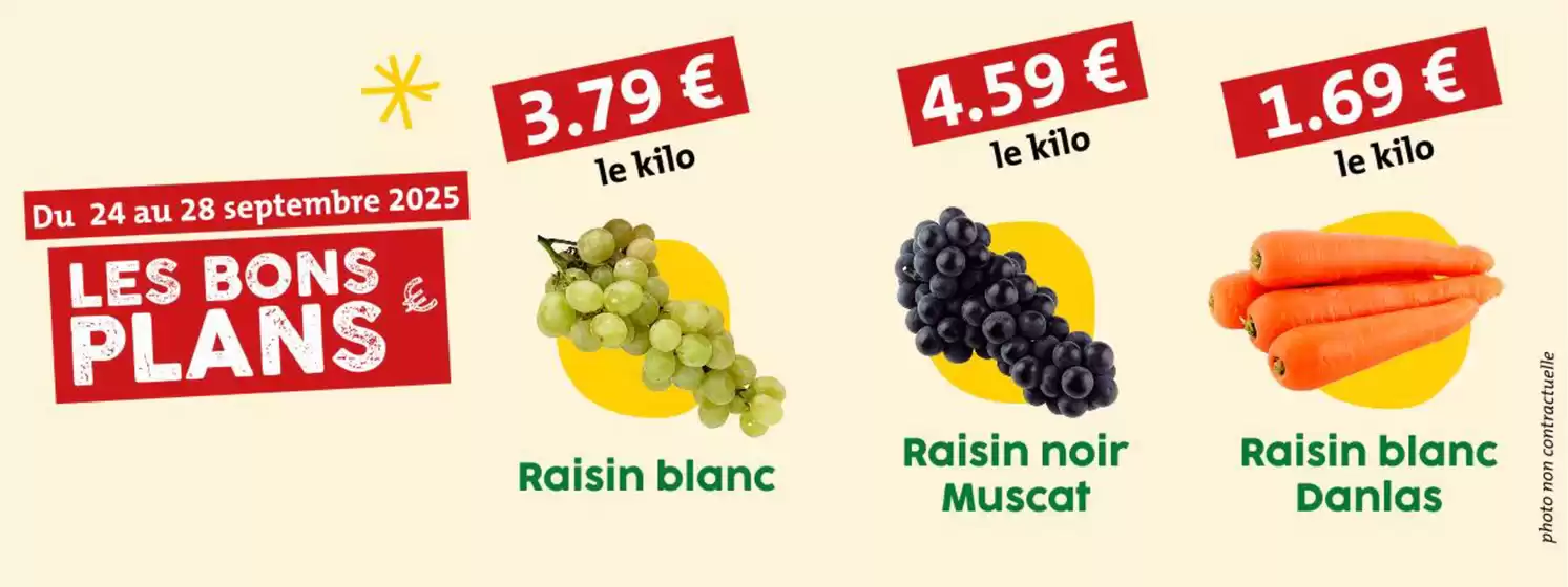 Nos Bons Plans de la semaine