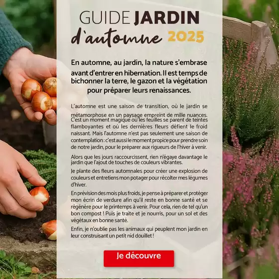 Guide jardin automne 2025
