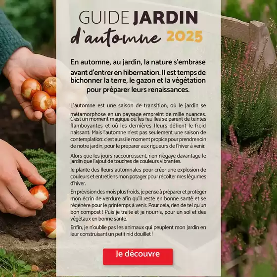 Guide jardin automne 2025