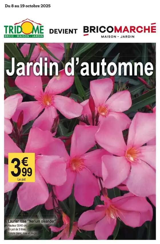Jardin d'automne