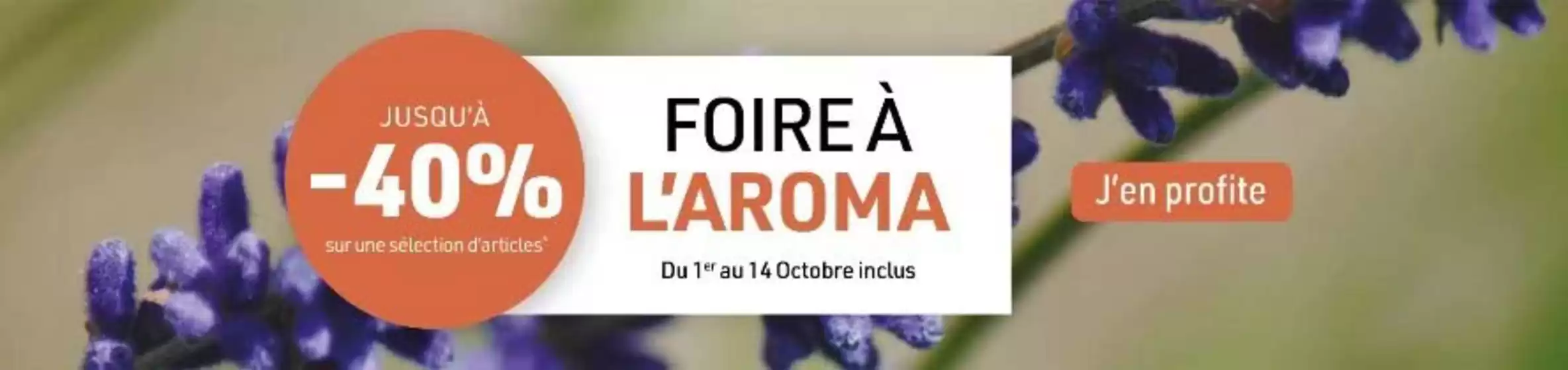 Jusqu'à -40% sur une sélection d'articles