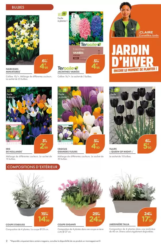 JARDIN D'HIVER ENCORE LE MOMENT DE PLANTE !