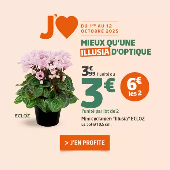 Opération litière