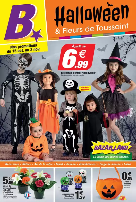 Catalogue Bazarland à Locminé | Halloween & Fleurs de Toussaint | 2025-10-13T00:00:00.000Z - 2025-11-02T00:00:00.000Z