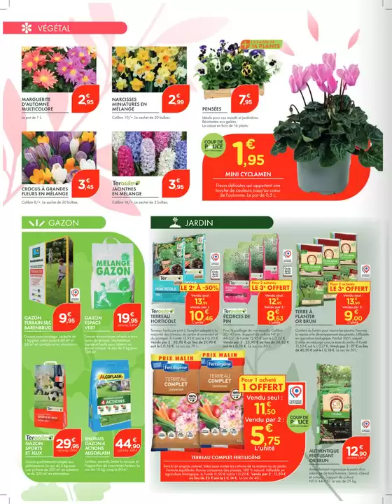 Nouvelles offres à découvrir