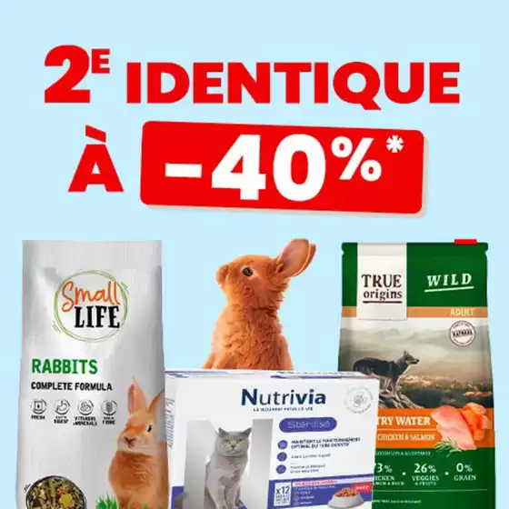 Catalogue Animalis à Toulouges | 2ème à -40% identique | 2025-10-15T00:00:00.000Z - 2025-10-31T00:00:00.000Z