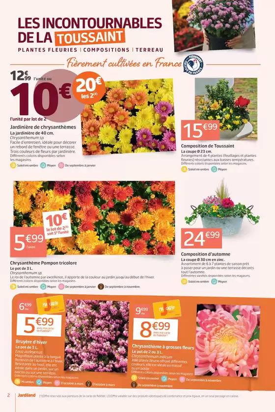 LES 12J QUI SECOUENT VOTRE AUTOMNE