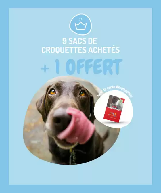 Catalogue Médor et Compagnie | 9 sacs de croquettes achetés + 1 sac OFFERT | 2025-10-21T00:00:00.000Z - 2025-11-16T00:00:00.000Z