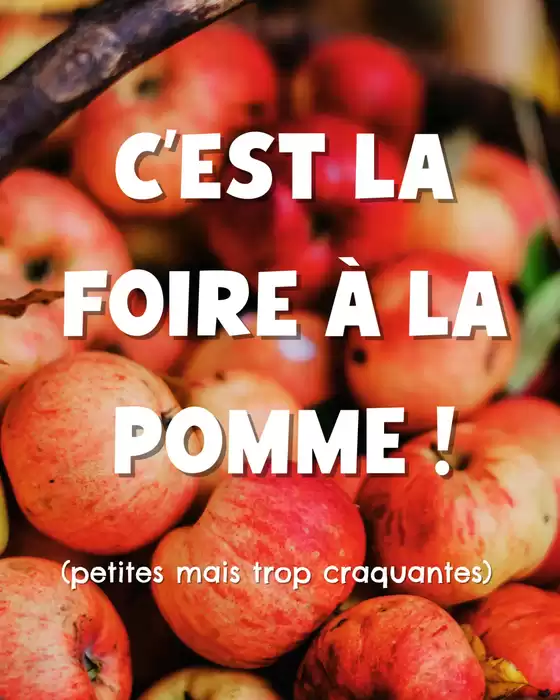 Catalogue Nous anti gaspi à Leucate | L'occasion de vous proposer une promo 100 % pomme 100 % française, avec une sélection de 6 petites pommes à un super petit prix ! | 2025-10-24T00:00:00.000Z - 2025-10-27T00:00:00.000Z