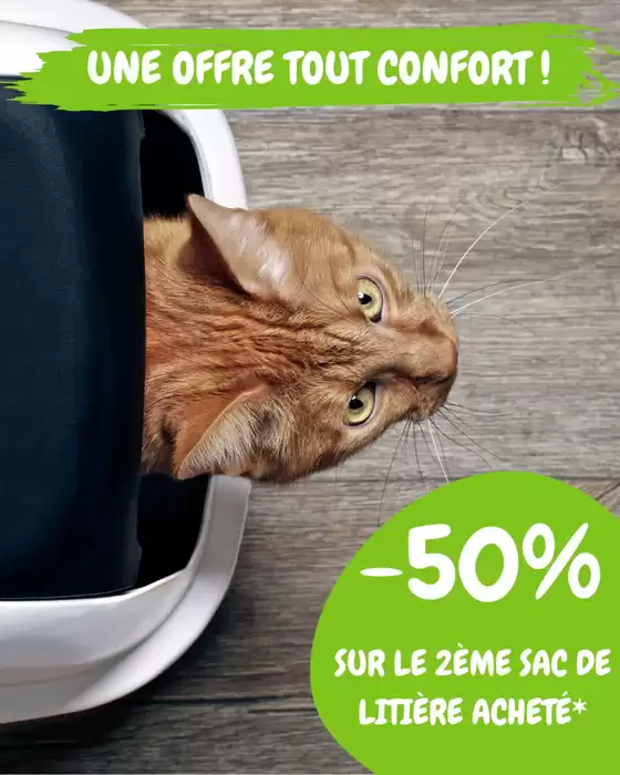 Catalogue Médor et Compagnie à Saint-Jean-Brévelay | Parce qu'un chat n'a jamais trop de confort … | 2025-10-24T00:00:00.000Z - 2025-11-01T00:00:00.000Z