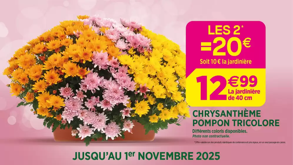 Catalogue Delbard à Briançon | Célébrons la Toussaint ensemble ! | 2025-10-27T00:00:00.000Z - 2025-11-01T00:00:00.000Z