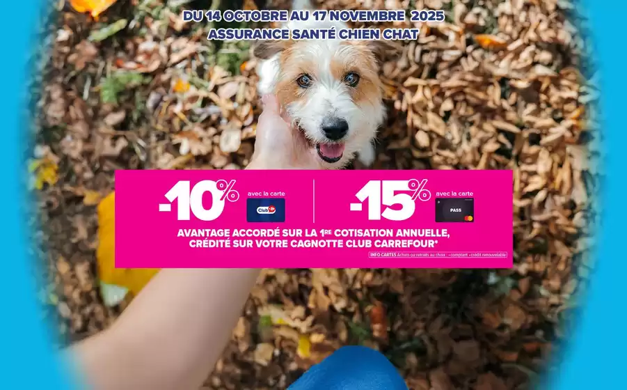 Catalogue Carrefour Assurance à Castres (Tarn) | Assurance Santé Chien Chat | 2025-10-27T00:00:00.000Z - 2025-11-17T00:00:00.000Z