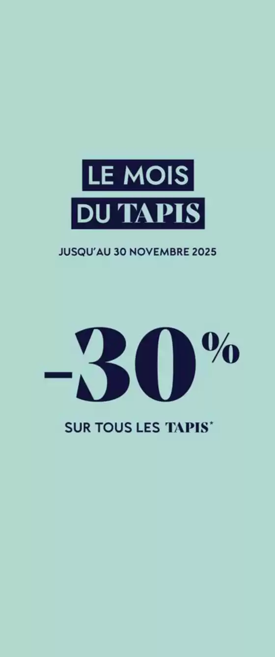 Catalogue Saint Maclou à Châteauroux | Promos Tapis | 2025-11-03T00:00:00.000Z - 2025-11-30T00:00:00.000Z