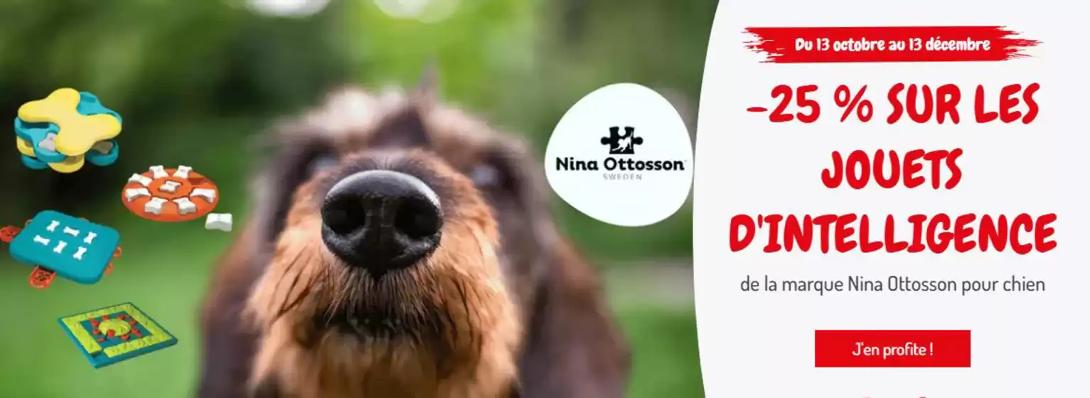 Catalogue Médor et Compagnie à Thann | Jeux d'intelligence et cérébraux pour chien | 2025-11-17T00:00:00.000Z - 2025-12-13T00:00:00.000Z