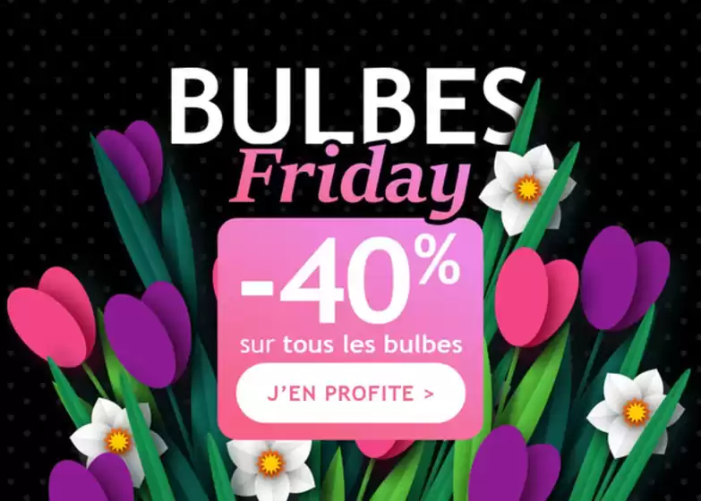 Catalogue  à Estancarbon | Bulbes Friday : -40% sur tous les bulbes | 2025-11-21T00:00:00.000Z - 2025-12-04T00:00:00.000Z