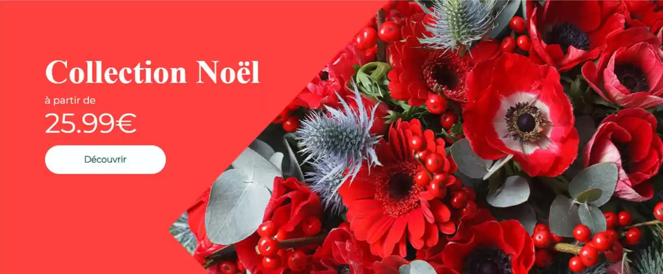 Catalogue Carrément Fleurs | Bouquets de Noël | 2025-12-02T00:00:00.000Z - 2025-12-31T00:00:00.000Z