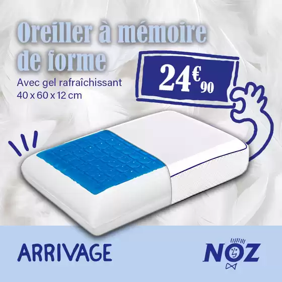 Catalogue Noz à Sallanches | Oreiller à mémoire de forme | 2025-12-02T00:00:00.000Z - 2025-12-09T00:00:00.000Z
