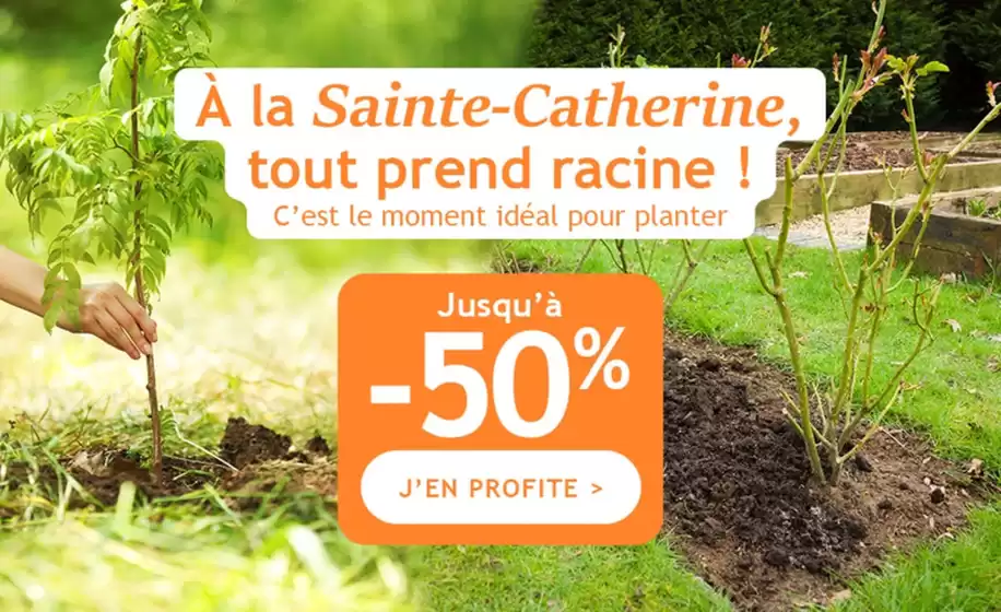Catalogue  | ainte Catherine : ça continue, jusqu’à -50% ! | 2025-12-02T00:00:00.000Z - 2025-12-16T00:00:00.000Z
