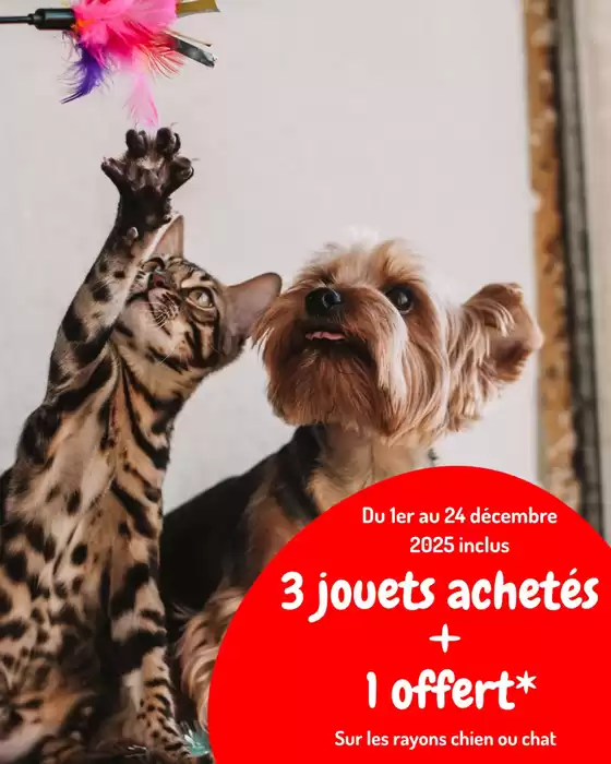 Catalogue Médor et Compagnie à Arles | On le sait… ils n’ont jamais assez de jouets !  | 2025-12-02T00:00:00.000Z - 2025-12-24T00:00:00.000Z