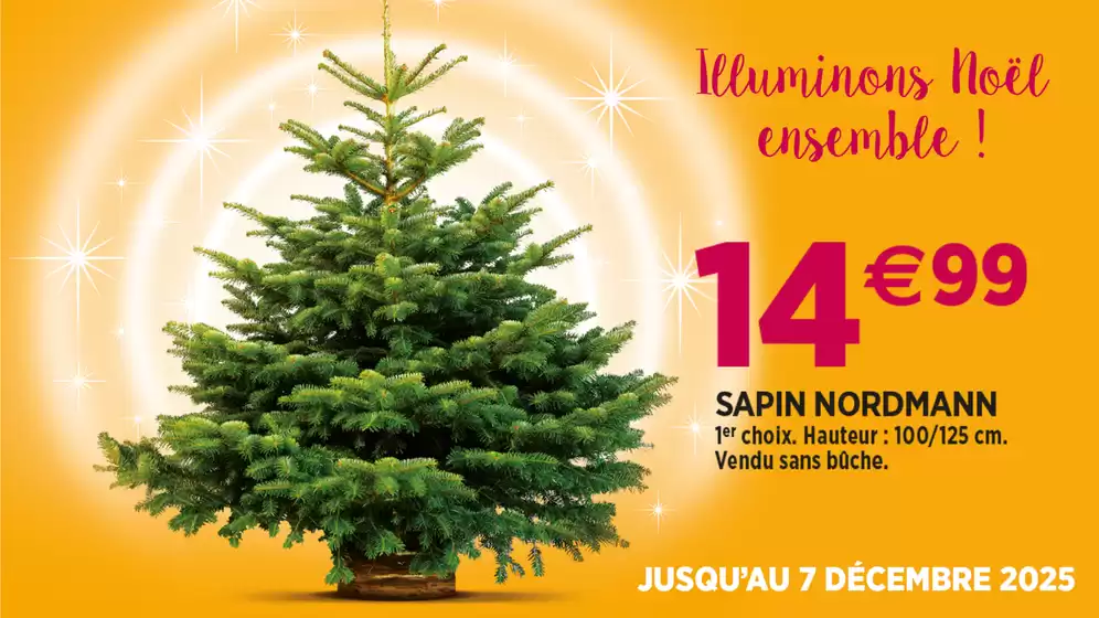Catalogue Delbard | Illuminons Noël ensemble ! | 2025-12-05T00:00:00.000Z - 2025-12-07T00:00:00.000Z