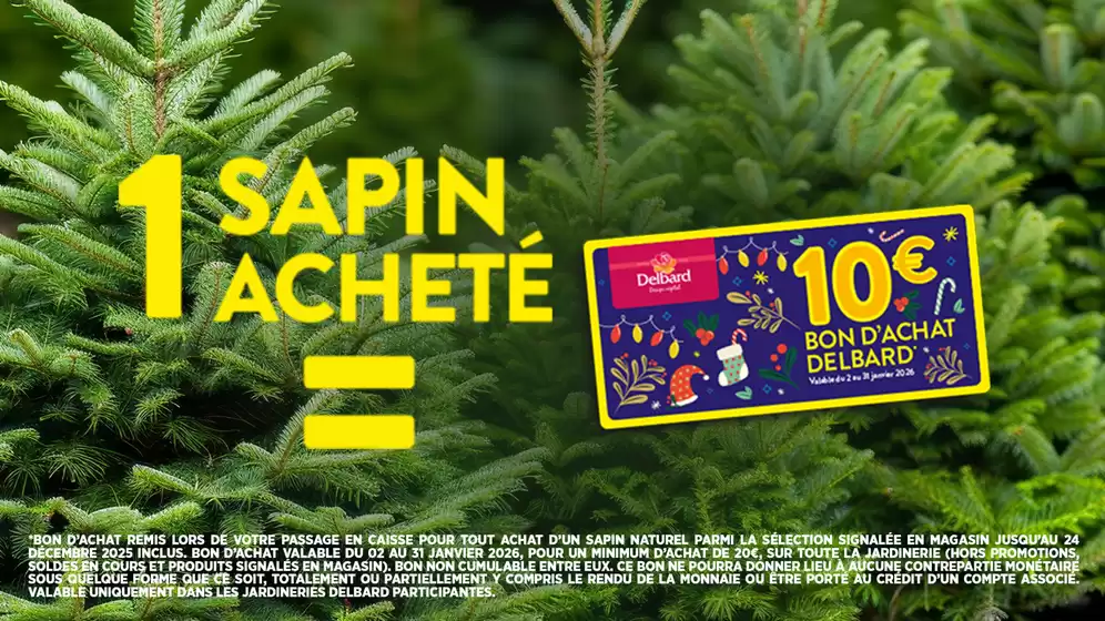 Catalogue Delbard à | Faites entrer la magie de Noël à la maison ! | 2025-12-05T00:00:00.000Z - 2025-12-24T00:00:00.000Z