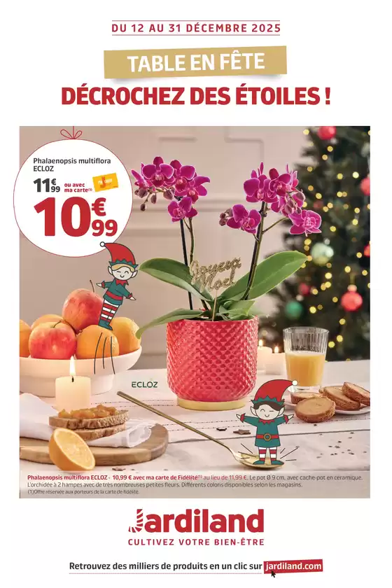 Catalogue Jardiland à Charleville-Mézières | TABLE EN FÊTE DÉCROCHEZ DES ÉTOILES ! | 2025-12-10T00:00:00.000Z - 2025-12-31T00:00:00.000Z