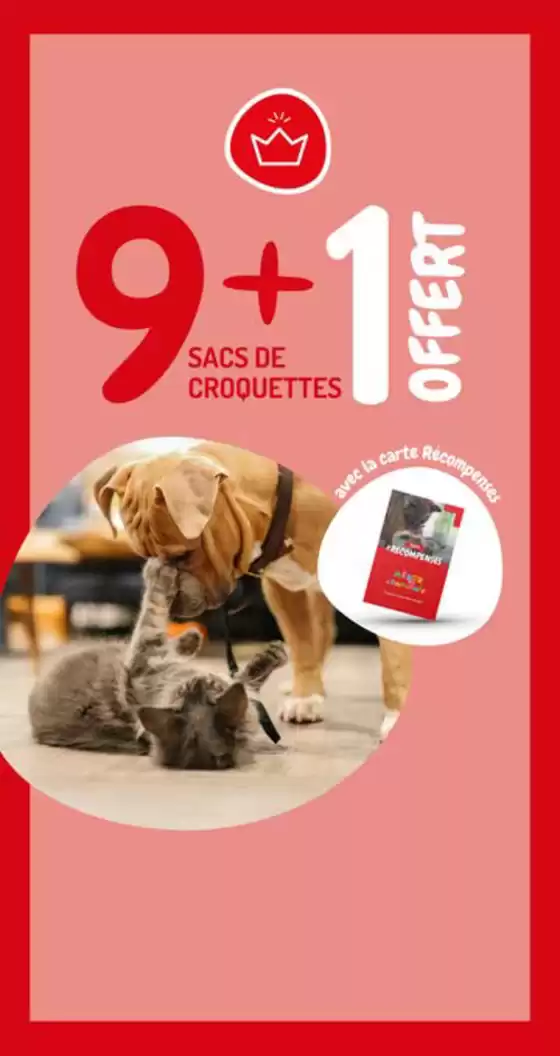 Catalogue Médor et Compagnie à Trégastel | 9 + 1 offert | 2025-12-29T00:00:00.000Z - 2026-01-04T00:00:00.000Z