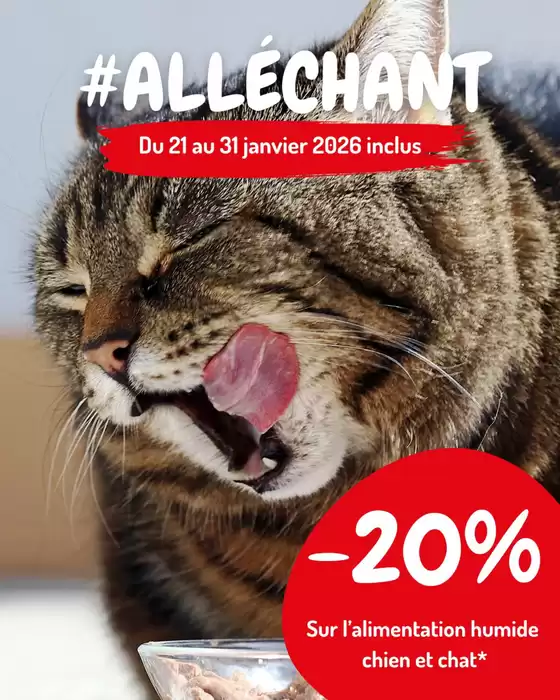 Catalogue Médor et Compagnie à Puteaux | Une offre à s’en lécher les babines ! | 2026-01-22T00:00:00.000Z - 2026-01-31T00:00:00.000Z