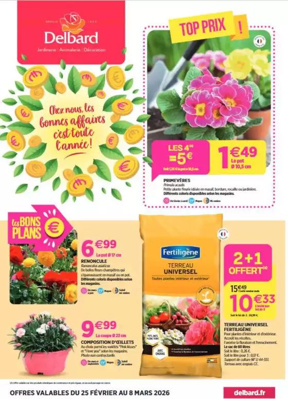 Catalogue Delbard | Top prix ! | 2026-02-26T00:00:00.000Z - 2026-03-08T00:00:00.000Z