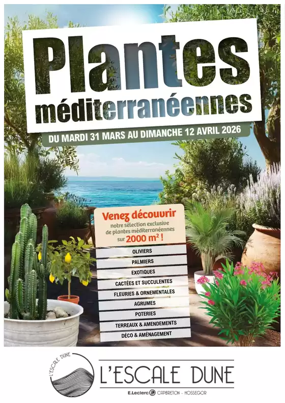 Catalogue E.Leclerc à Rennes | PLANTES MEDiTERRANENNE | 2026-03-31T00:00:00.000Z - 2026-04-12T00:00:00.000Z