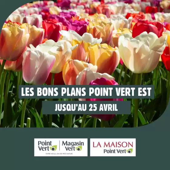 Catalogue Point Vert à Cercottes | OFFRES DU MOMENT | 2026-04-15T00:00:00.000Z - 2026-04-25T00:00:00.000Z