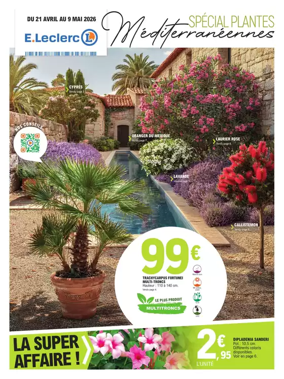 Catalogue E.Leclerc | PLANTES MEDITERRANEENNES 100% DIGITAL | 2026-04-21T00:00:00.000Z - 2026-05-09T00:00:00.000Z