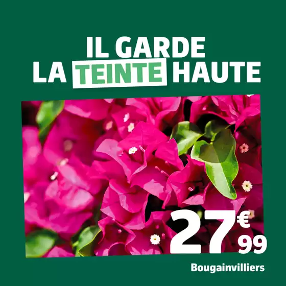 Catalogue Jardiland | Mai est là : découvrez nos variétés coups de cœur pour un extérieur qui pétille de vie | 2026-05-04T00:00:00.000Z - 2026-05-11T00:00:00.000Z