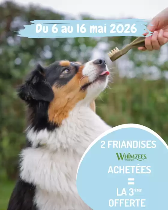 Catalogue Médor et Compagnie | Promotions | 2026-05-12T00:00:00.000Z - 2026-05-16T00:00:00.000Z