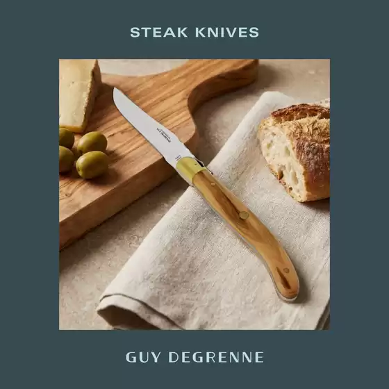 Catalogue Degrenne à Carcassonne | STEAK KNIVES | 2026-05-14T00:00:00.000Z - 2026-06-30T00:00:00.000Z