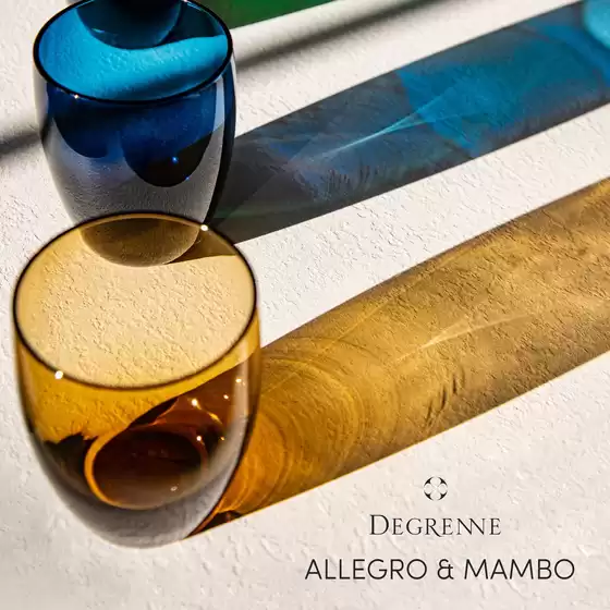 Catalogue Degrenne à Carcassonne | ALLEGRO & MAMBO | 2026-05-14T00:00:00.000Z - 2026-06-30T00:00:00.000Z