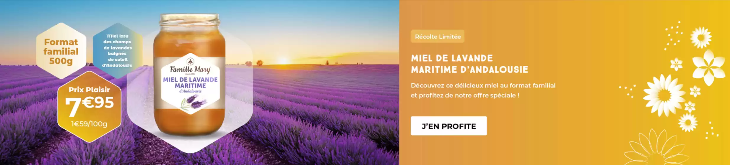 Catalogue Famille Mary à Peillac | Offres du moment | 2026-06-03T00:00:00.000Z - 2026-06-30T00:00:00.000Z